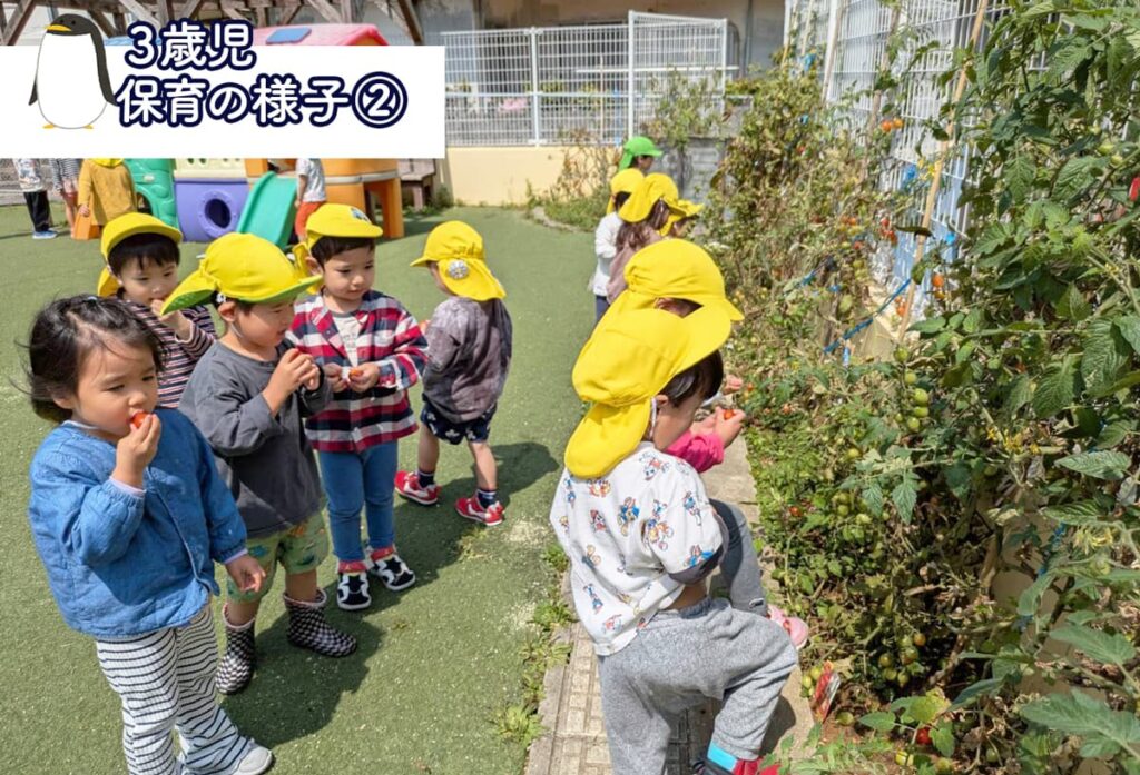 メルシー保育園_3歳児活動②