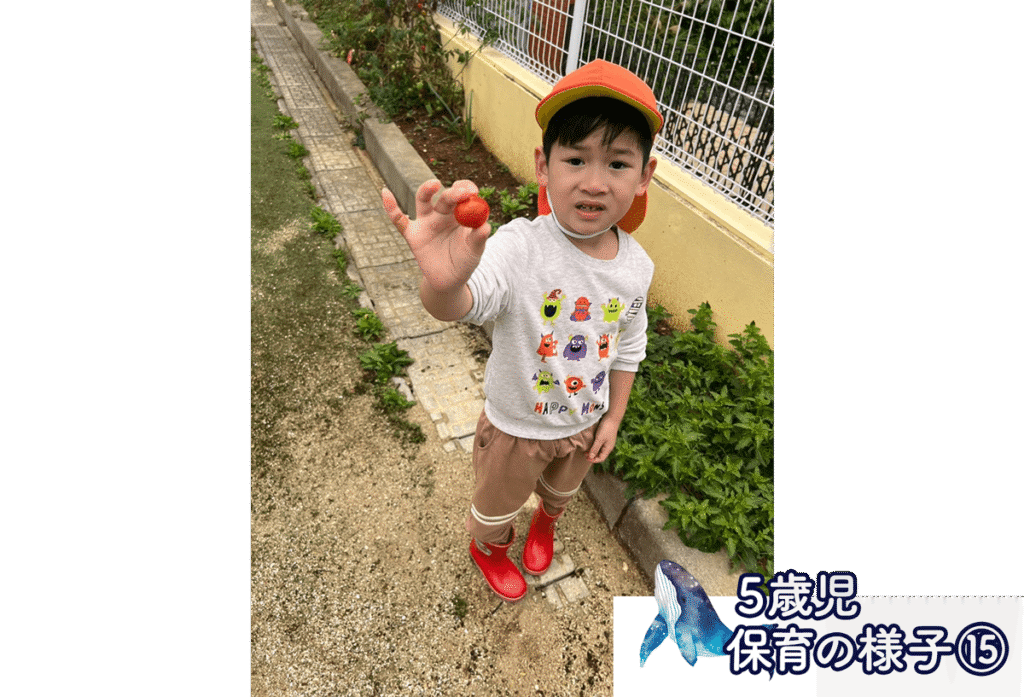 メルシー保育園_5歳児活動⑮
